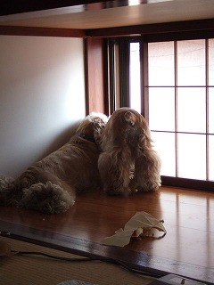 2006_060770024.jpg