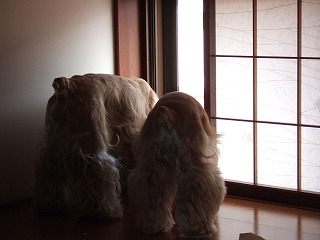 2006_060770030.jpg