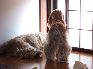 2006_060770031.jpg