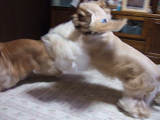 2006_060770068.jpg