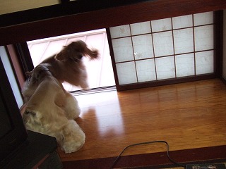 2006_060770074.jpg
