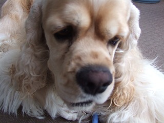 2006_0611画像0026.jpg