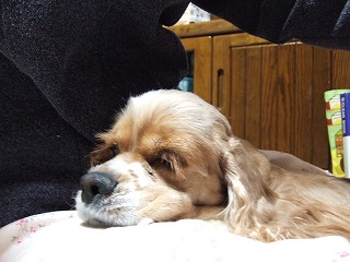 2006_03013gatu日0052.jpg