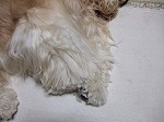 2006_04056日0107.jpg