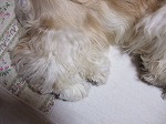 2006_04056日0108.jpg