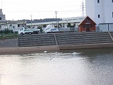 2006_0414140044.jpg
