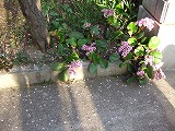 2006_0423240058.jpg