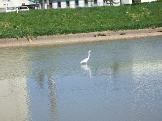 2006_050440042.jpg
