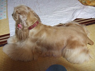 2006_060770058.jpg