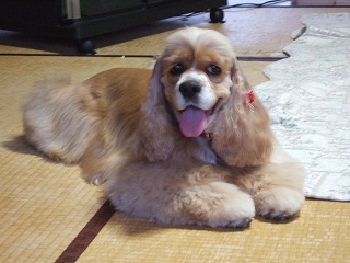2006_060770110.jpg
