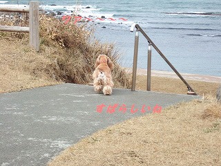 おいで4.jpg
