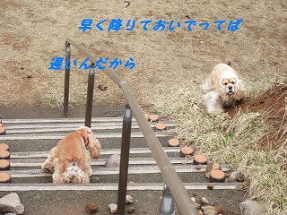 おいで5.jpg