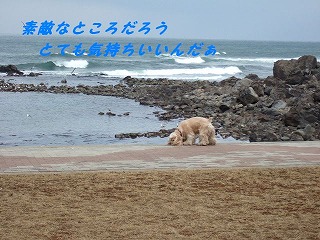 おいで7.jpg