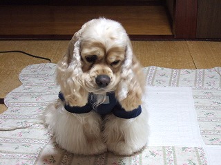 どうして.jpg