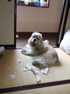 なんだかなぁ.jpg