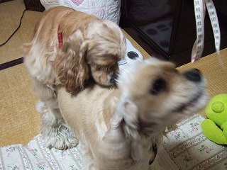 マウンティング.jpg