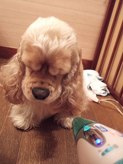 ドライヤー51.jpg