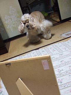 ビビリまくり.jpg