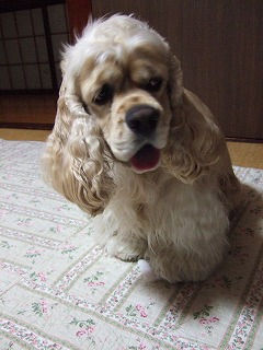 フン.jpg