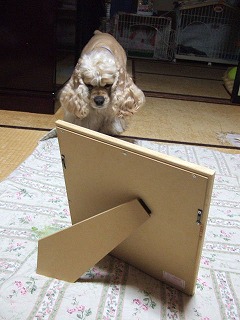 何メ?.jpg