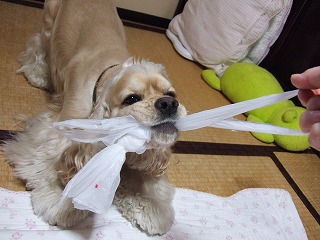暇な日.jpg