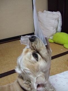 花さん.jpg