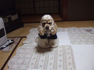 貴方を待ってます.jpg