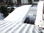 朝.jpg