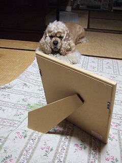 誰?.jpg