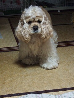 誰や?.jpg