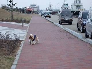 埠頭.jpg