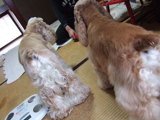 asobi 11.jpg