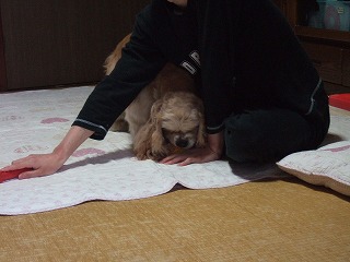 asobi5.jpg